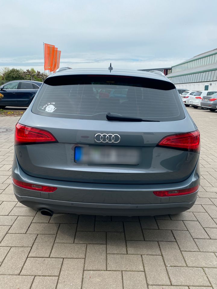 Audi Q5 2.0 TDI 110kW quattro - Top Zustand in Schmitten