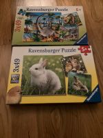 Puzzle Kaninchen und Dinos Baden-Württemberg - Tübingen Vorschau