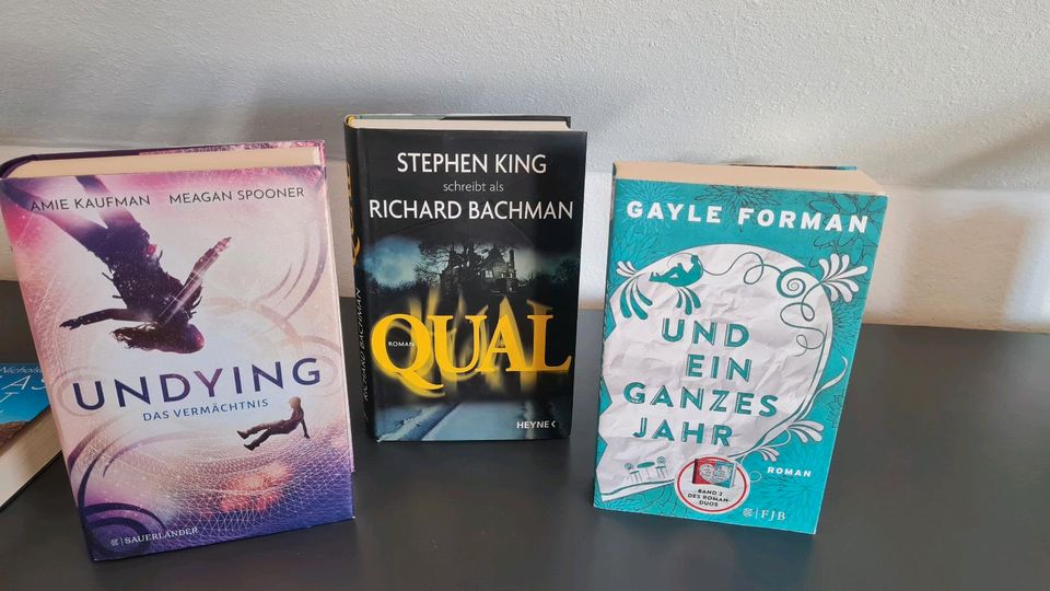 Stephen King, Undying, und ein ganzes Jahr Bücher in Aerzen