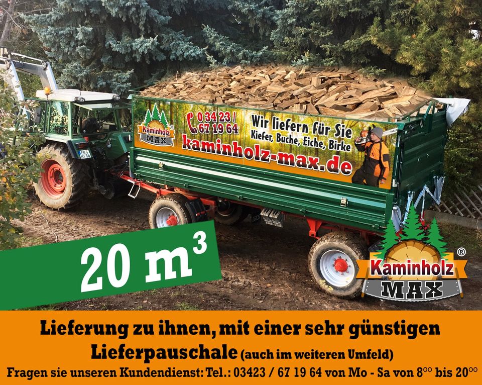 ab 4 m³ bis 35 m³ - 40 km um OSCHATZ , MEISSEN, RIESA, DÖBELN, Kaminholz, Brennholz, Feuerholz, Holzvergaser, Scheitholz in Cavertitz