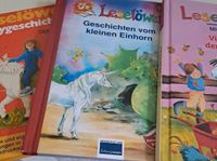 Erst Lese Bücher Mädchen/ Pferde Nürnberg (Mittelfr) - Nordstadt Vorschau