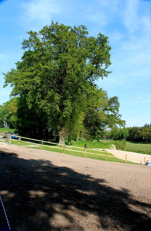 Pferdeboxen in direkter Nähe zum Warwer Sand frei in Stuhr