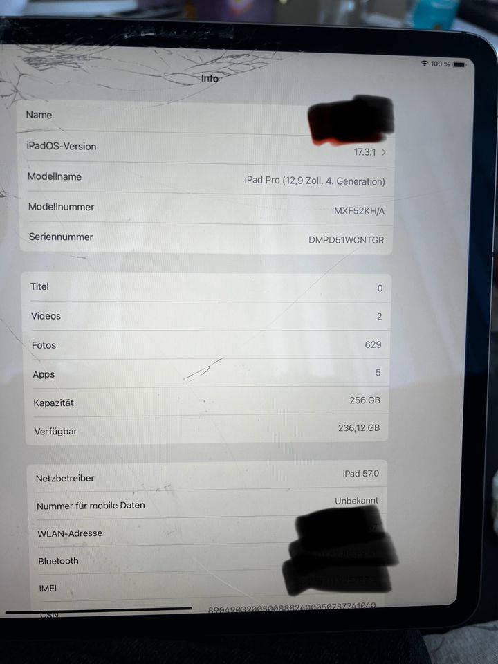 Apple iPad Pro (12,9 Zoll, 4. Generation) 256 GB in Ravensburg