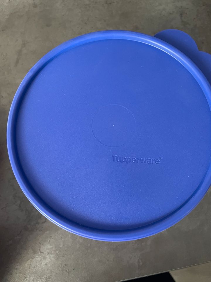 Neu Tupperware Schüssel 2,4l in Castrop-Rauxel