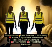 Totfellchen auf Reisen - Besitzer gesucht Berlin - Köpenick Vorschau