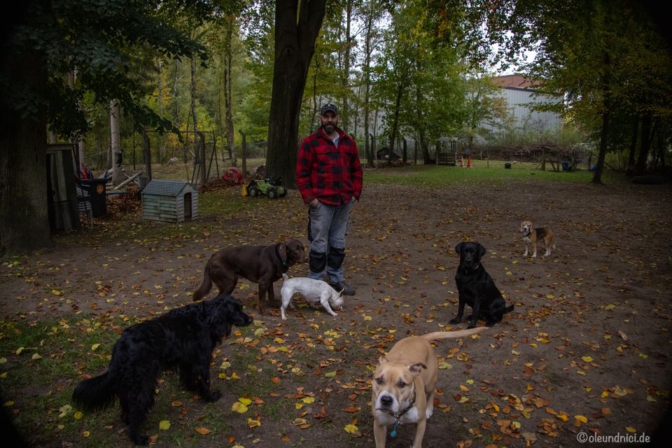 Hundetagesstätte HUTA Geesthacht Hundebetreuung in Geesthacht