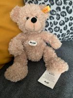 Original neu Steiff Teddybär Fynn 28cm Chemnitz - Rabenstein Vorschau