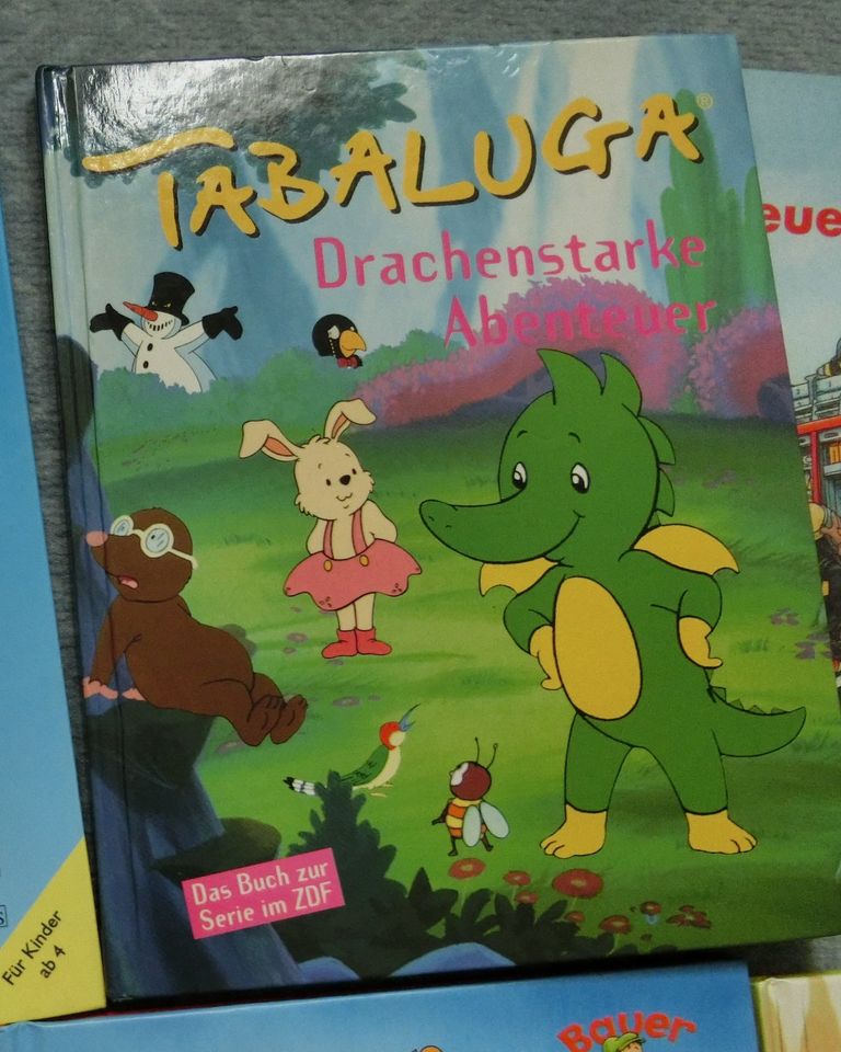 4x Buch Maus erzähl Feuerwehr im Einsatz! Tabaluga Lilo und Max in Dettingen an der Iller