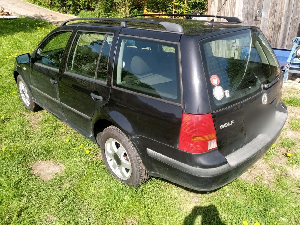 VW Golf 4 Variant Kombi 1.6 16V Benzin in Diemelstadt