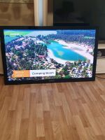 50 Zoll Samsung Plasma TV Nordrhein-Westfalen - Marl Vorschau