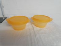 Tupperware "Mini-Max" (2) NEU Sachsen-Anhalt - Dedeleben Vorschau