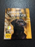 Labrador Retriever Buch Hessen - Wetter (Hessen) Vorschau