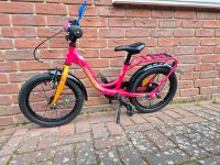 Pegasus Kinderfahrrad 16 Zoll pink Niedersachsen - Wittorf Vorschau