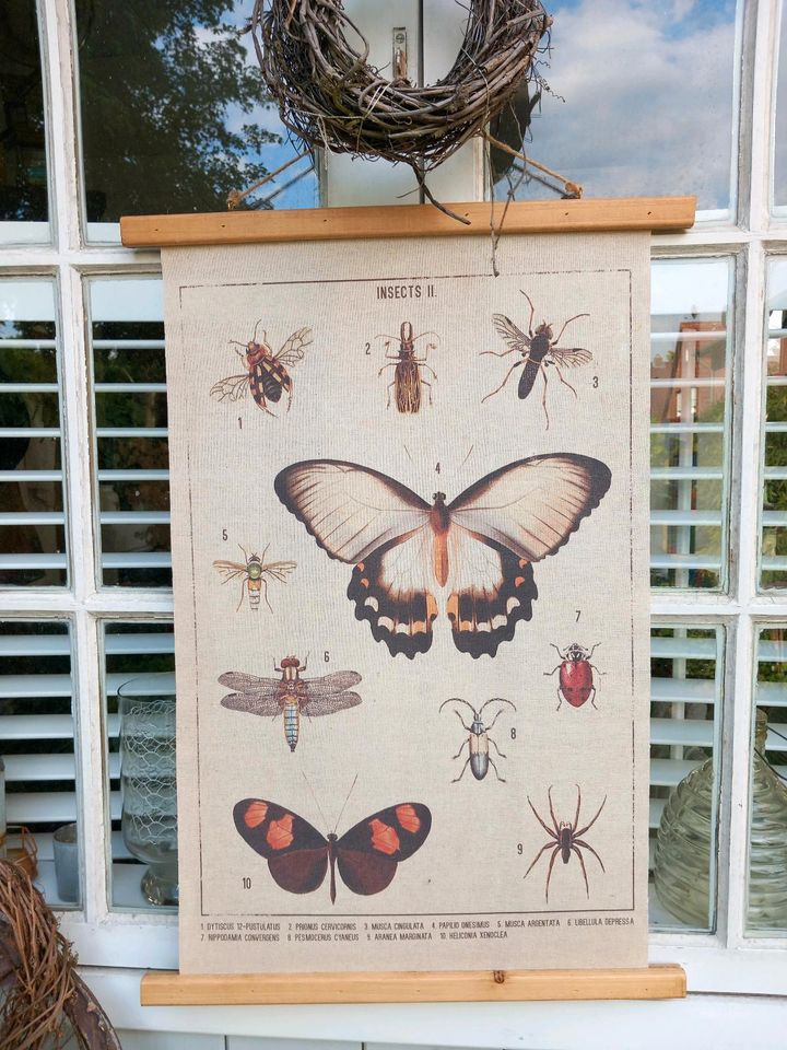 Alt Schautafel Lehrkarte Rollkarte Insekten Poster Leinen Deko in Elmshorn