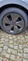 Bridgestone Turanza ECO 215 55 R18 95T NEU Nordrhein-Westfalen - Paderborn Vorschau