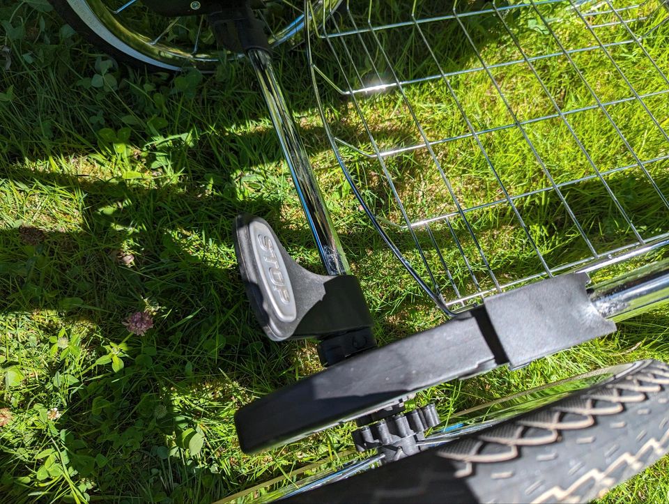 Kinderwagen Bergsteiger Venedig retro Vintage in St. Ingbert