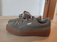 Puma Suede Sneaker Gr. 37 Bayern - Aschaffenburg Vorschau