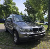 BMW X5 E3 3.0d Neu TÜV Bayern - Lindau Vorschau