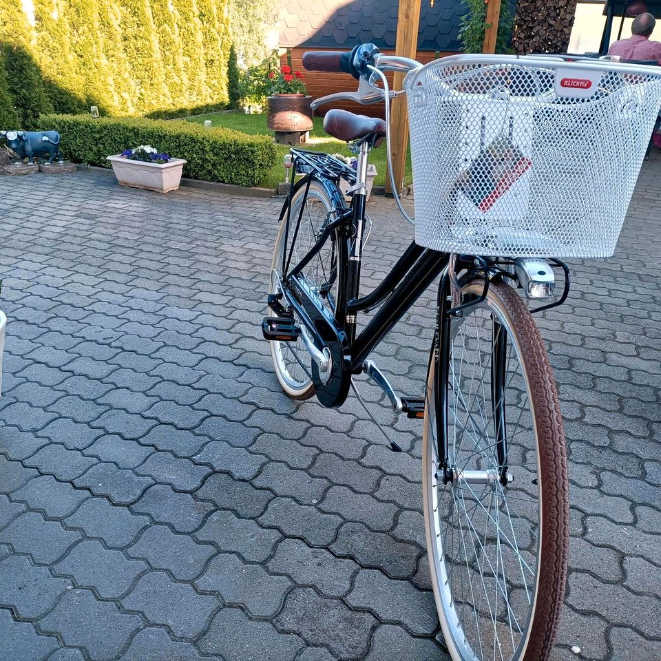 Boulevard Damenfahrrad 28 Zoll NEU Rahmenhöhe 46 in Hof (Saale)