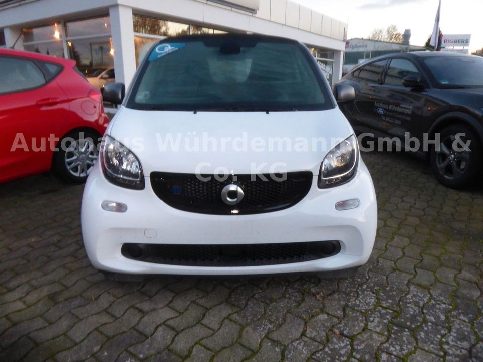 Smart fortwo coupe electric drive / EQ in Ganderkesee