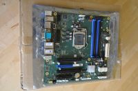 Fujitsu D3441-S20 Mainboard - 1151 - Intel Q170 - Industrie 24/7 Thüringen - Weimar Vorschau