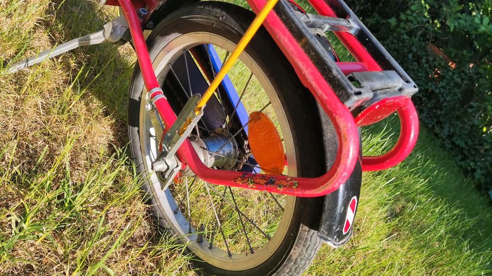Puky Fahrrad Kinderfahrrad 16 Zoll in Wandlitz