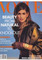 SUCHE Vogue (US) Ausgaben der 90er Jahre Hessen - Darmstadt Vorschau