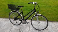 Damen Treckingrad Tourenfahrrad Greens 28 Zoll Nordrhein-Westfalen - Gladbeck Vorschau