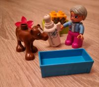 Lego Duplo 10521 - Baby-Kalb Schleswig-Holstein - Preetz Vorschau