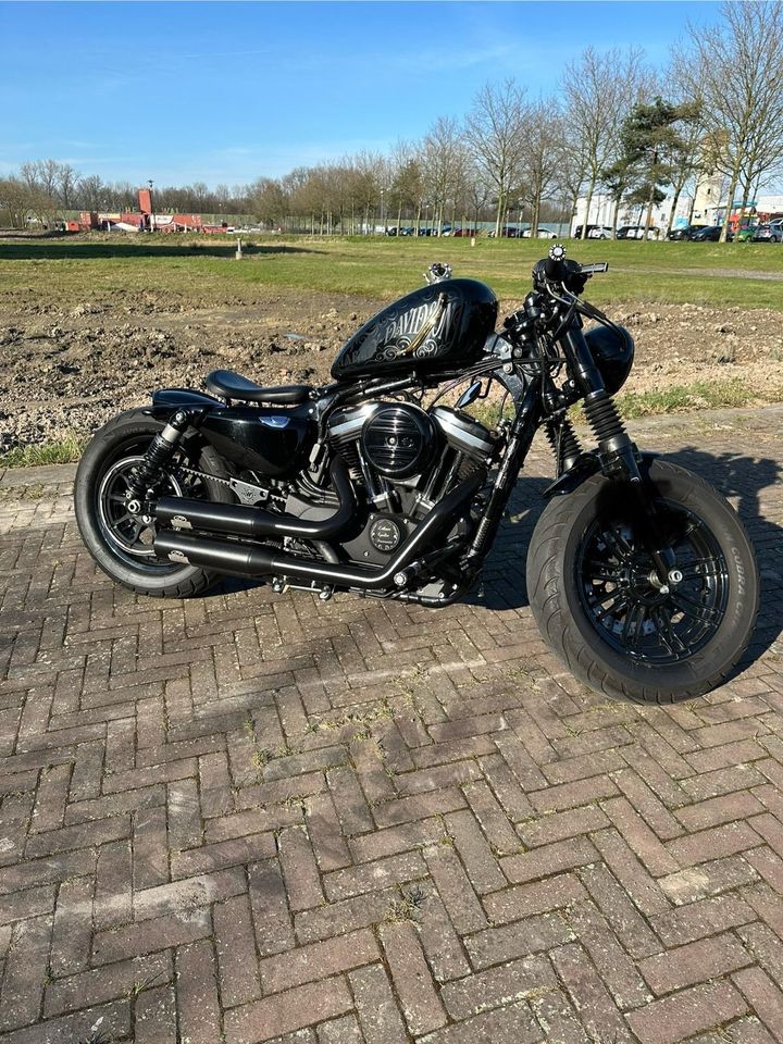 Harley Davidson Sportster 48 XL1200 in Herne