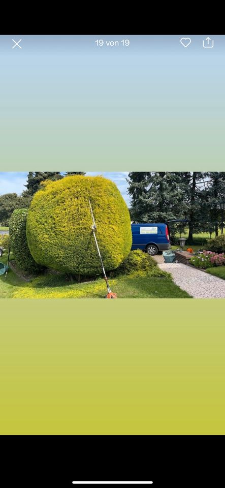 Gartenarbeit & Jahrespflege & Heckenschnitt & Objektpflege in Bottrop