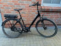 Giant 28 Zoll City E-Bike Fahrrad Niedersachsen - Halbemond Vorschau