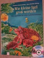 Wie kleine Igel groß werden- mit CD von Arena Verlag Nordrhein-Westfalen - Gladbeck Vorschau