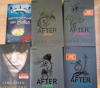 Todd Anna After Reihe 1-4 Romane New Adult Liebe Erotik College a Bayern - Hilgertshausen-Tandern Vorschau