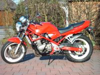 Suzuki GSF 400 Bandit Nordrhein-Westfalen - Oelde Vorschau