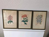 3 antike Gemälde mit Pflanzenmotiven Nordrhein-Westfalen - Langenfeld Vorschau