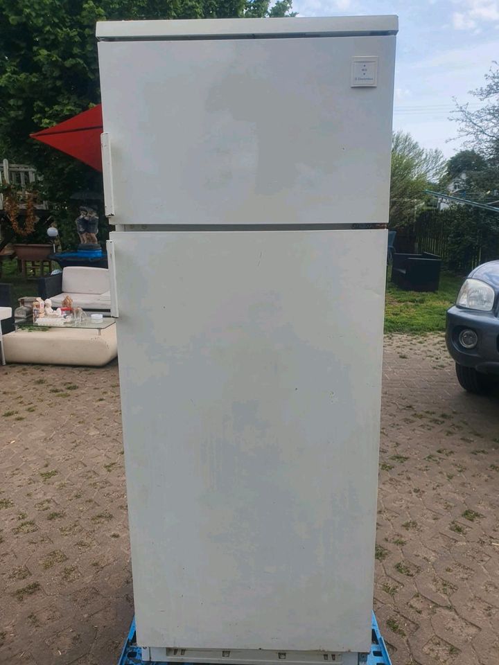 kühlschrank kühl gefrierfach gefrier Gefrierschrankkombination in Losheim am See