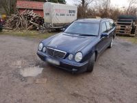 Mercedes Benz E240 Benzin+Gas Nordrhein-Westfalen - Bad Oeynhausen Vorschau