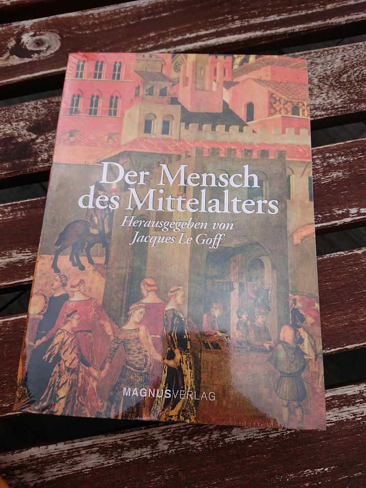 Buch neu Mensch des Mittelalters Jacques Le Goff in Stein