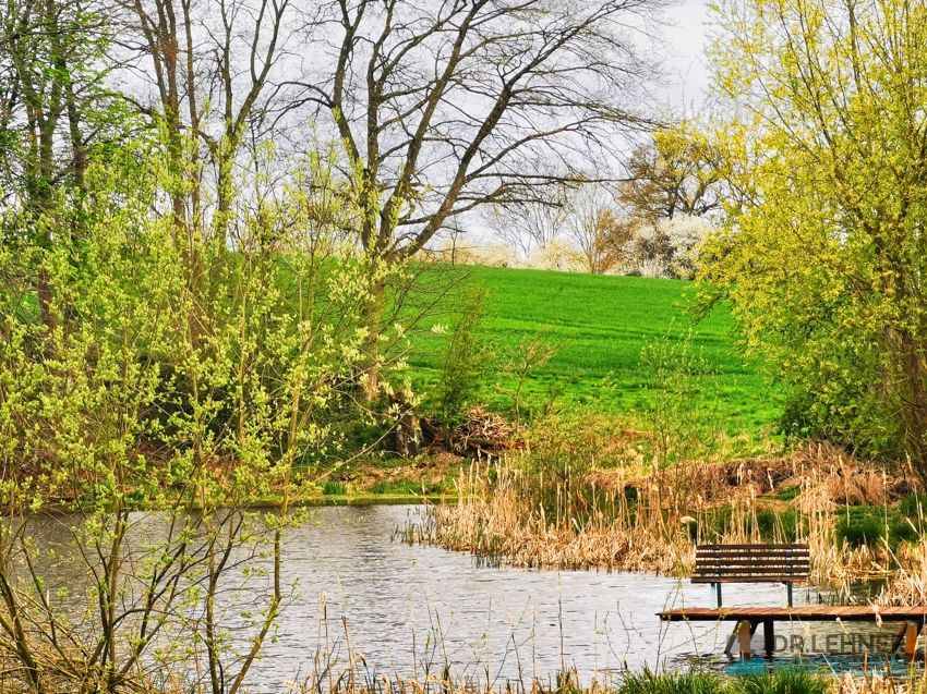 Dr. Lehner Immobilien NB- Paradies vor der Insel mit 9,5 ha und Teich in Murchin