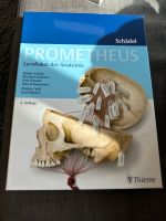 Prometheus Schädel Lernpaket Münster (Westfalen) - Centrum Vorschau