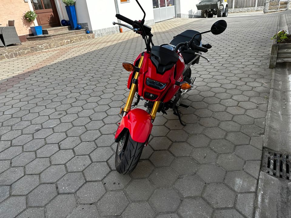 Honda Msx 125 SF Neuzustand 1590Km in Eschlkam