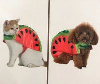 Tierkostüm Katze/Hund "Wassermelone" - Neu, unbenutzt! München - Sendling Vorschau