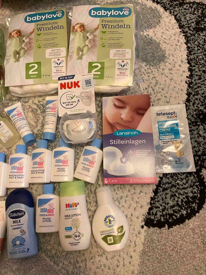 Windeln, Meilenstein Karten Baby, Creme, Nasensauger, Schnuller in Elmshorn