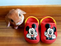 ❤️ Disney Minnie Mouse Crocs ❤️ Baden-Württemberg - Reutlingen Vorschau