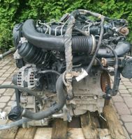 VOLVO C30 V40 V50 S60 D5204T D5204T6 2,0 D3 D4 MOTOR KOMPLETT Nordrhein-Westfalen - Leverkusen Vorschau