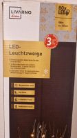 LED Leuchtzweig Lichterzweig echte Weidenäste für Bodenvase o.Ä. Brandenburg - Potsdam Vorschau