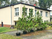 PROVISIONSFREI | Perfektes Zuhause für große Familien: Ehemaliges Ärztehaus auf großem Grundstück Brandenburg - Ahrensfelde Vorschau