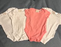 Zara Baby Bodies aus Baumwolle Größe 1-3 Monate (62cm) Hessen - Neu-Isenburg Vorschau