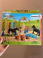 Schleich Farm World 42481 Pony Agility Training München - Untergiesing-Harlaching Vorschau